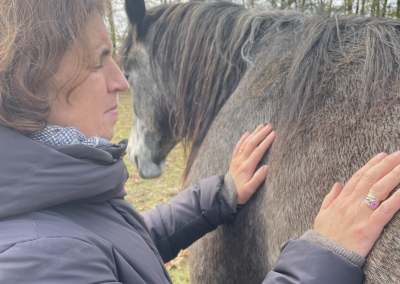 Lucie Juilien - Constellations chevaux