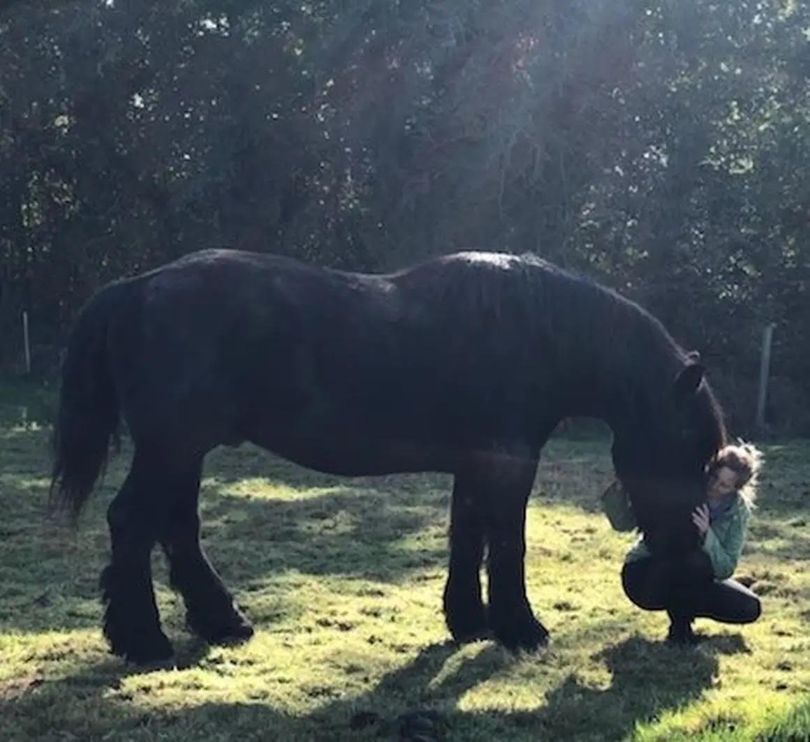 Lucie Juilien - Contact